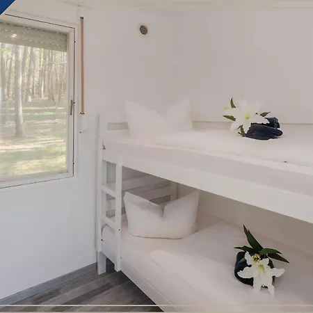 Bungalow Gelb Tatil Evi